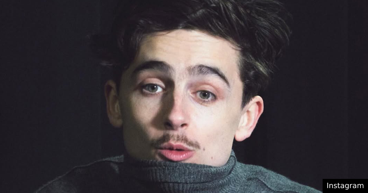 Timothée Chalamet pedala na passadeira vermelha