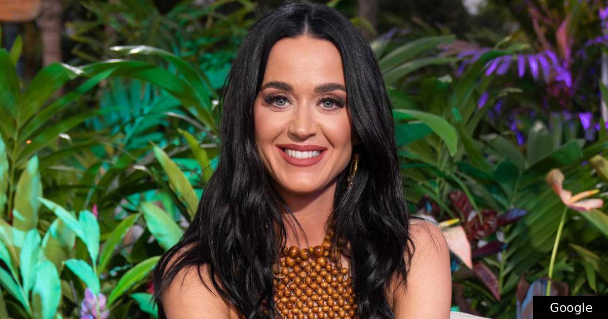 Katy Perry defende fã em pleno show