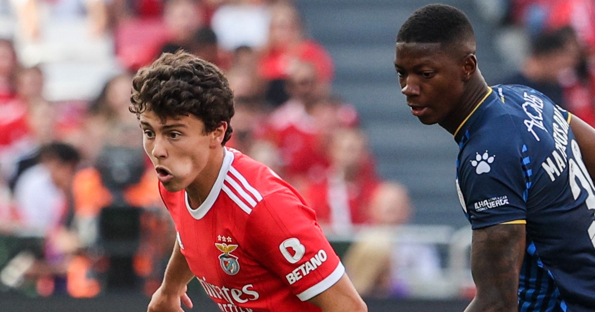 Portugal Bélgica Europeu Sub-21 João Neves - SL Benfica