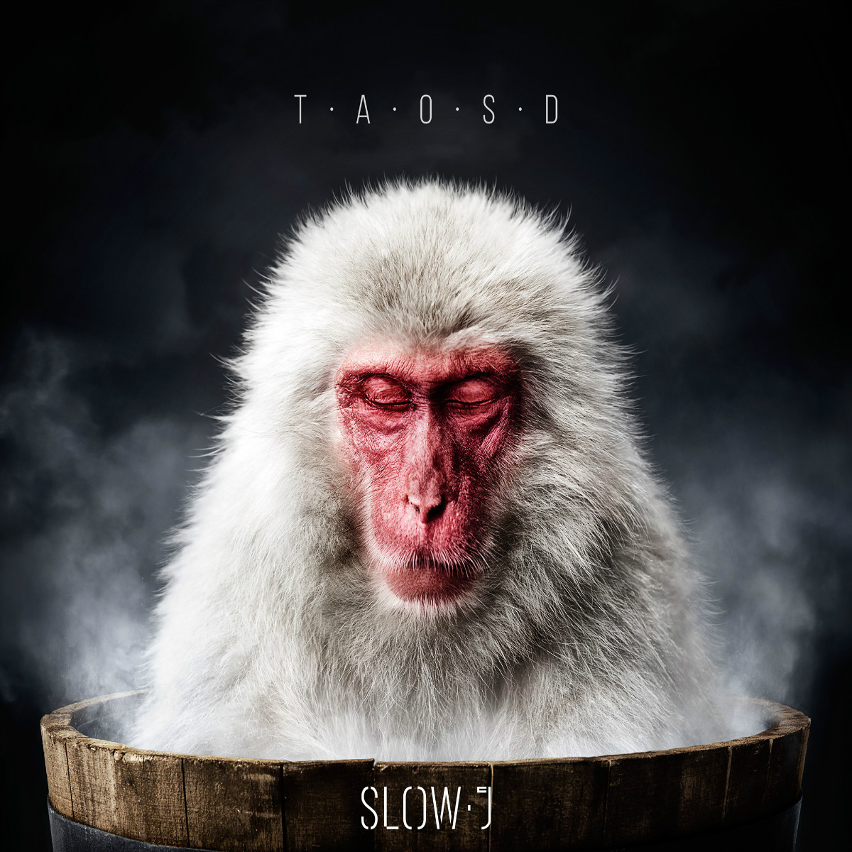 Slow J - Arte