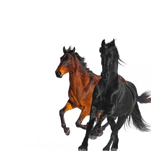 Old Town Road [remix]
