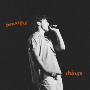 Beautiful Things Beautiful Things